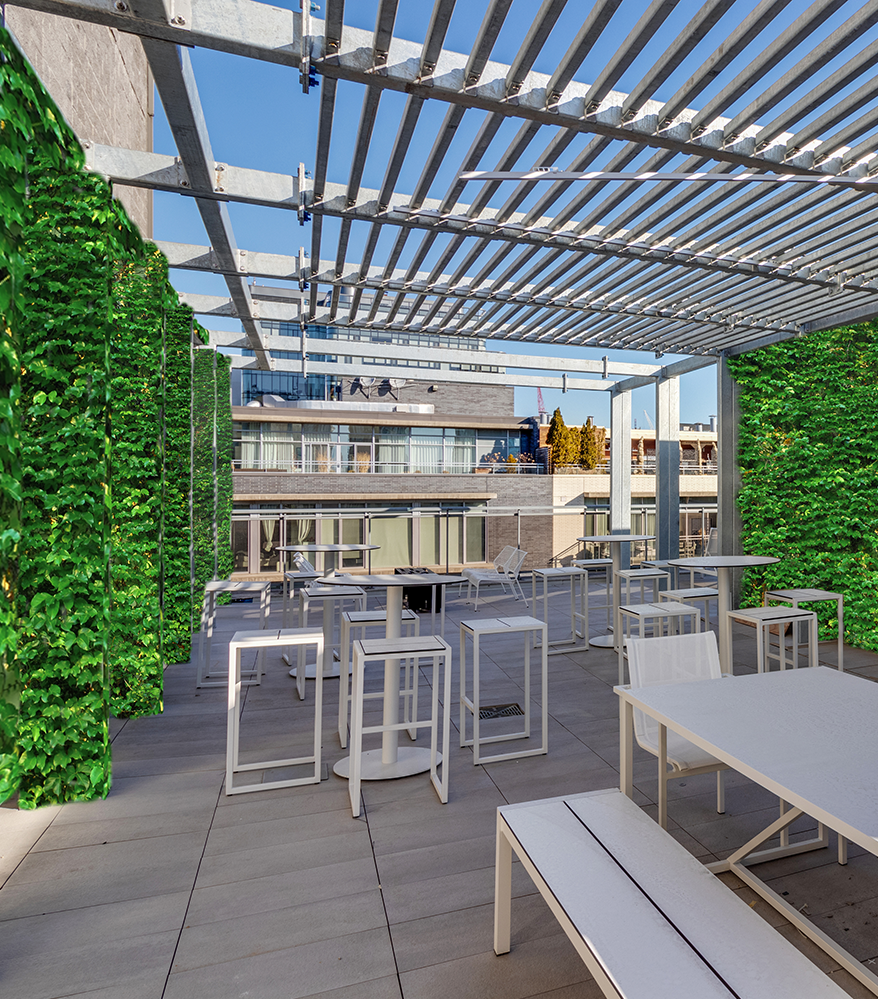 Rooftop Terrace with Green Wall